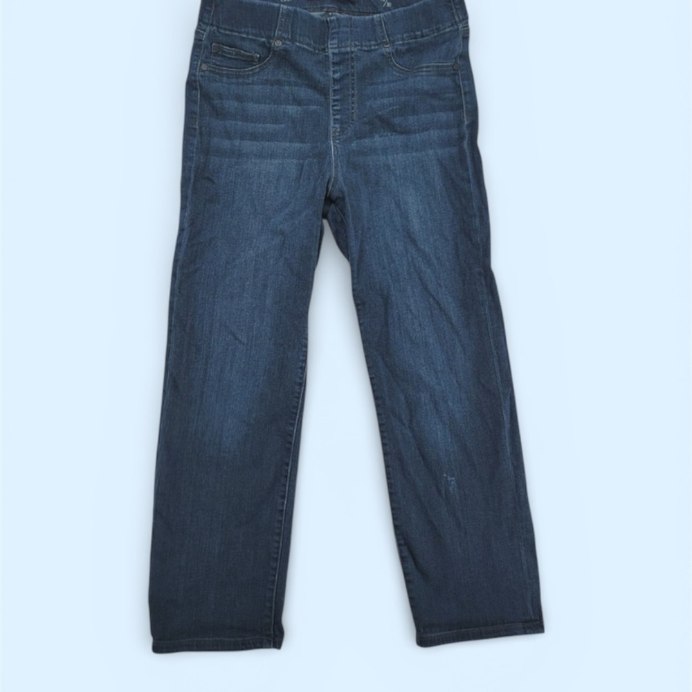 Liverpool Los Angeles Blue Denim Pull-on Jeans Sz 29/8